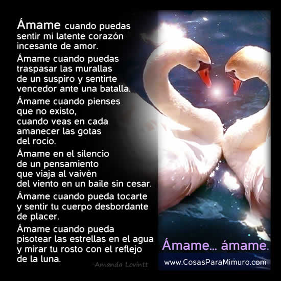 Imagen de la poesía ámame