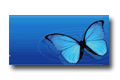 Vuelo de mariposa
