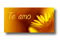 Te amo