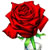 Carta de amor