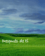 Despus de ti