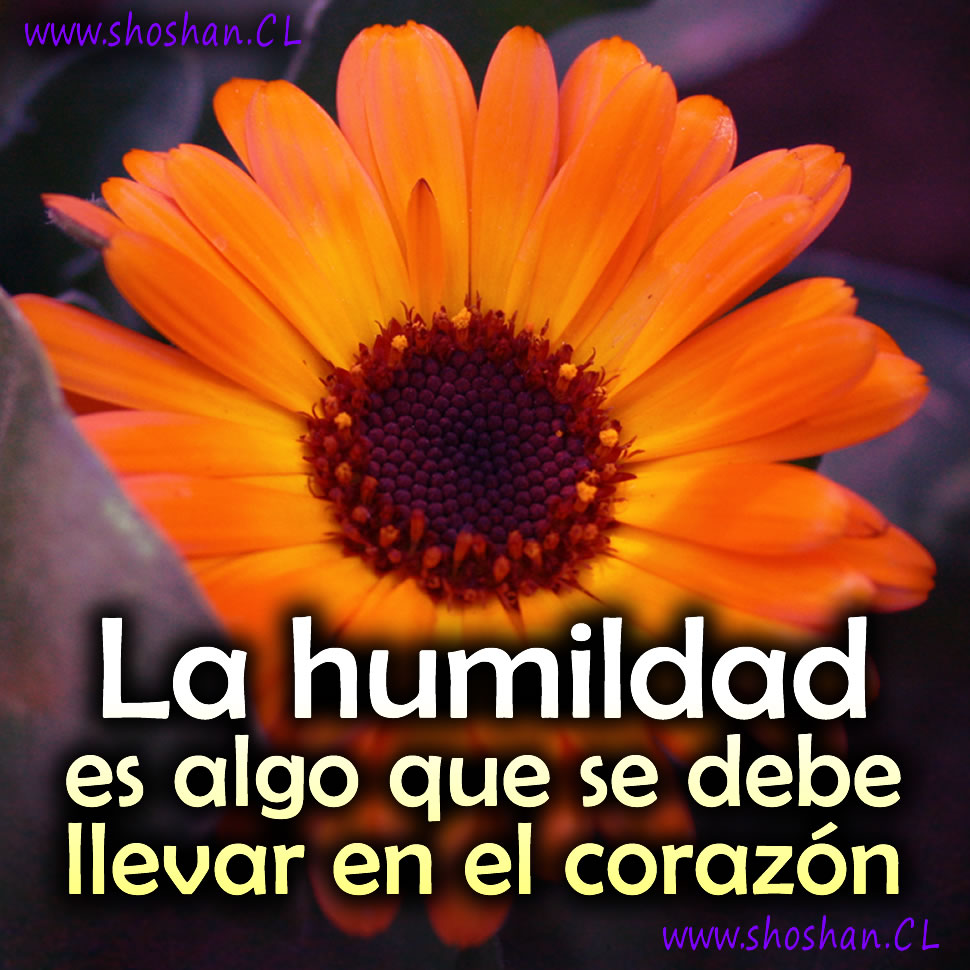 La humildad es algo que se debe llevar en el corazón.