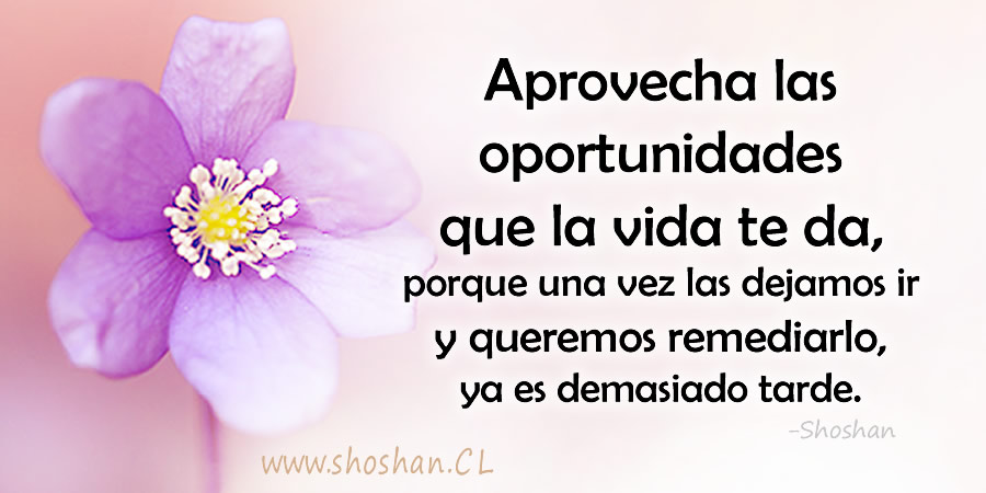 Aprovecha las oportunidades que la vida te da, porque una vez las dejamos ir y queremos remediarlo, ya es demasiado tarde.