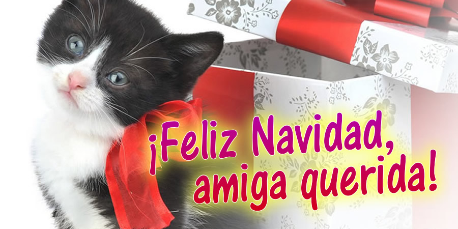 Feliz Navidad, amiga mía ♥