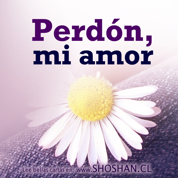 Perdón, mi amor  Carta