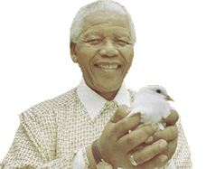 Mandela luchando por la paz