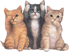 Internet = Gatitos