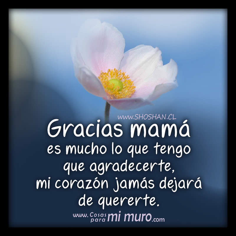 Gracias mamá