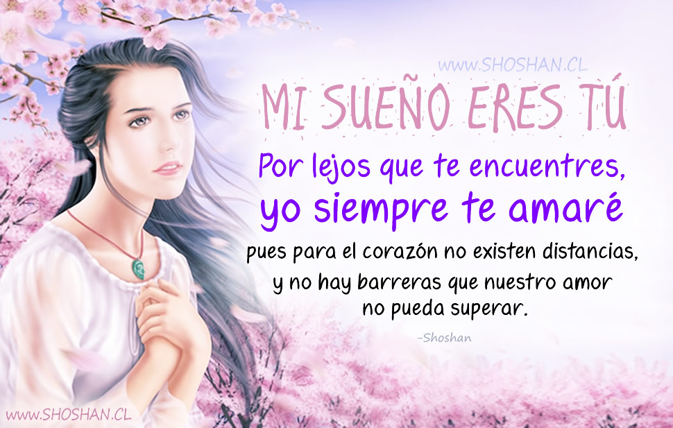 Mi querido amor:
 MI SUEÑO ERES TÚ. Por lejos que te encuentres, yo siempre te amaré pues para el corazón no existen distancias, y no hay barreras que nuestro amor no pueda superar.