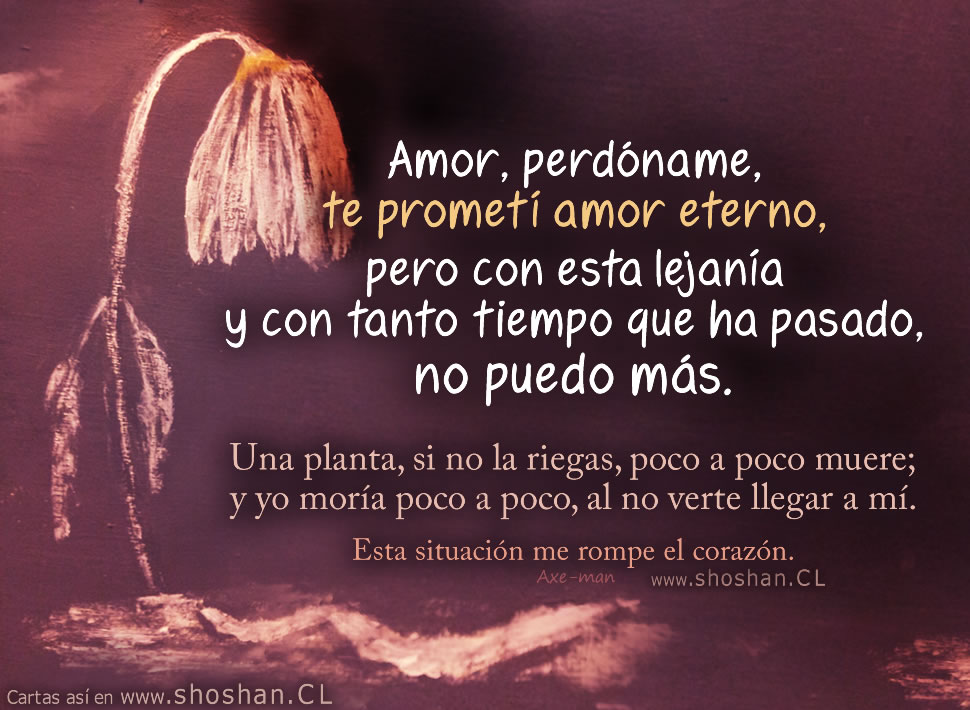 Amor, perdóname, te prometí amor eterno, pero con esta lejanía y con tanto tiempo que ha pasado, no puedo más. Una planta, si no la riegas, poco a poco muere; y yo moría poco a poco, al no verte llegar a mí. Esta situación me rompe el corazón.