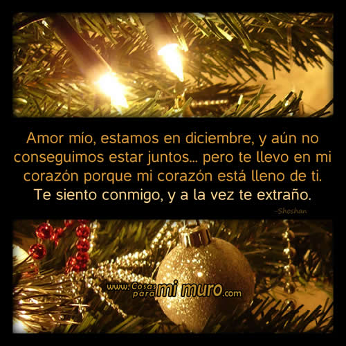 Carta de diciembre a mi amor en la distancia