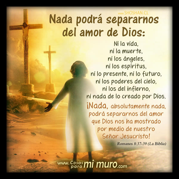 Nada podrá separarnos del amor de Dios