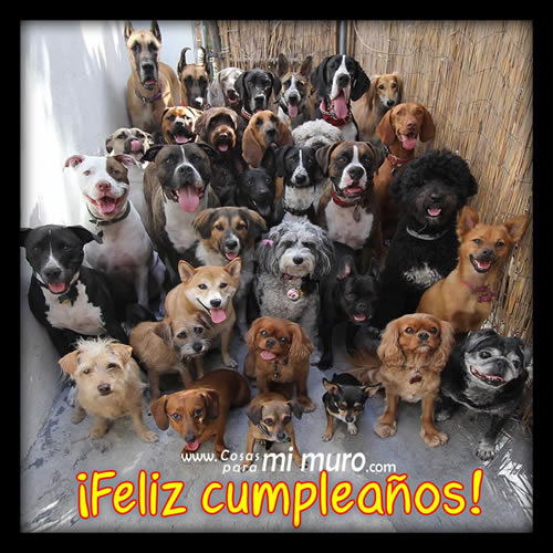 Postal para una fecha especial: tu cumpleaños