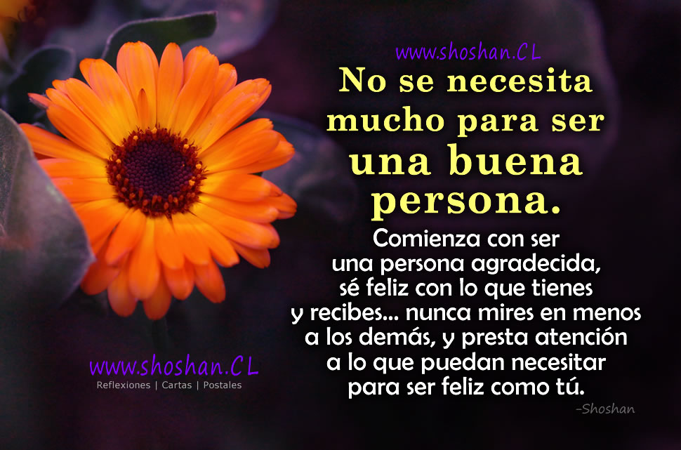 No se necesita mucho para ser una buena persona. Comienza con ser una persona agradecida, sé feliz con lo que tienes y recibes… nunca mires en menos a los demás y presta atención a lo que puedan necesitar para ser feliz como tú. -Shoshan