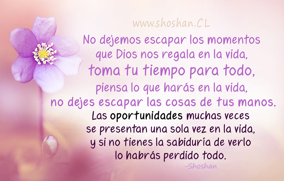 No dejemos escapar los momentos que Dios nos regala en la vida, toma tu tiempo para todo, piensa lo que harás en la vida, no dejes escapar las cosas de tus manos. Las oportunidades muchas veces se presentan una sola vez en la vida, y si no tienes la sabiduría de verlo lo habrás perdido todo.