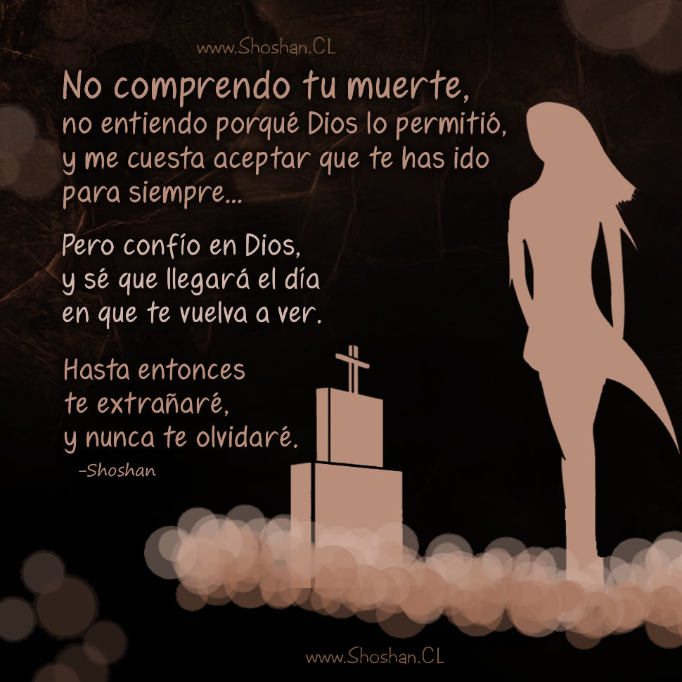 No comprendo tu muerte, no entiendo porqué Dios lo permitió, y me cuesta aceptar que te has ido para siempre... Pero confío en Dios, y sé que llegará el día en que te vuelva a ver. Hasta entonces te extrañaré, y nunca te olvidaré.