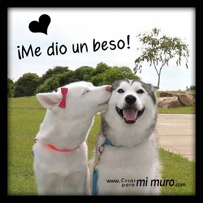 ¡Me dio un beso!
