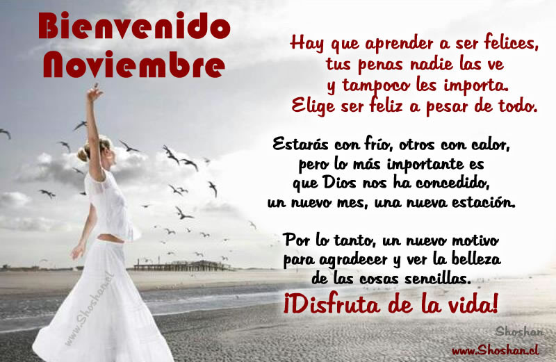 Bienvenido noviembre