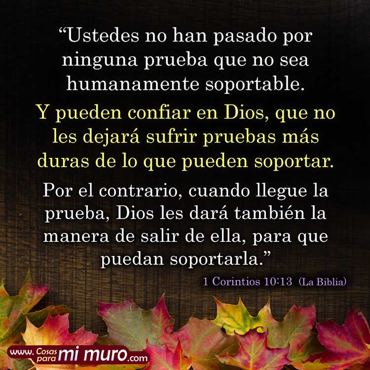 No han pasado por ninguna prueba que no sea humanamente soportable. Y pueden  confiar en Dios, que no les dejará sufrir pruebas más duras de lo que pueden soportar. Por el contrario, cuando llegue la prueba, Dios les dará también la manera de salir de ella, para que puedan soportarla. 1 Corintios 10:13 La Biblia