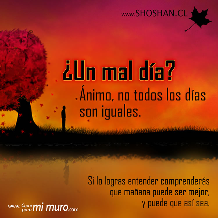 ¿Un mal día? Ánimo, no todos los días son iguales. Si lo logras entender, comprenderás que mañana puede ser mejor y puede que lo sea.